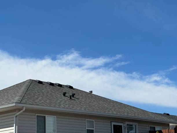 Best Storm Damage Roof Repair  in Kane, PA